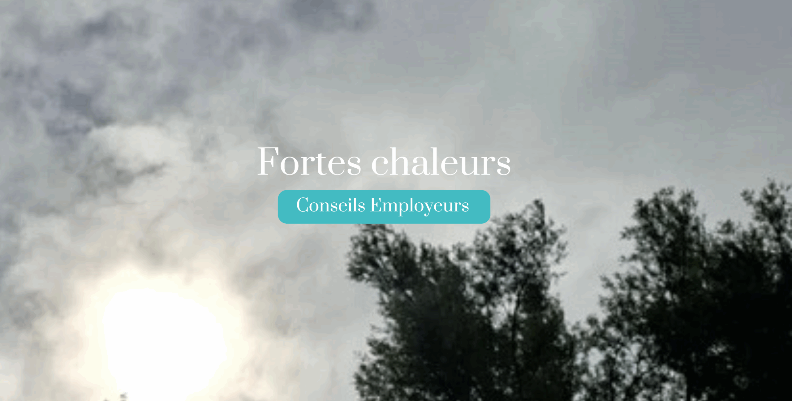 Banniere article.pdf (3)